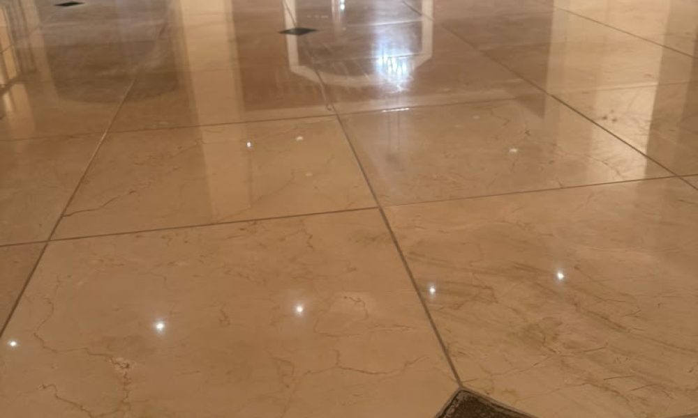 Terrazzo Polishing Service (30)
