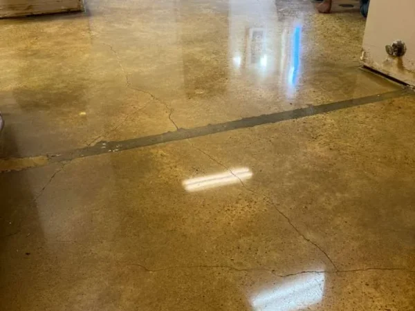 Terrazzo polishing service 2