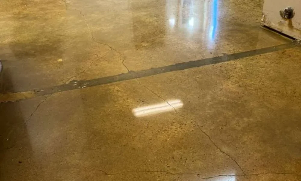 Terrazzo polishing service 2