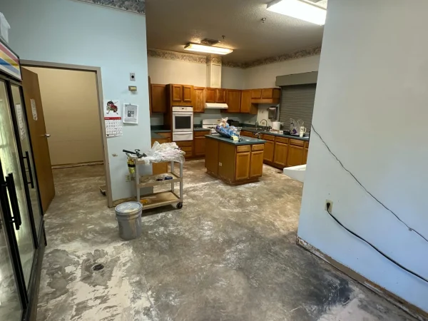 Terrazzo polishing service 4