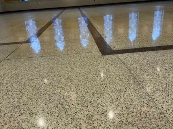 Terrazzo polishing service 6